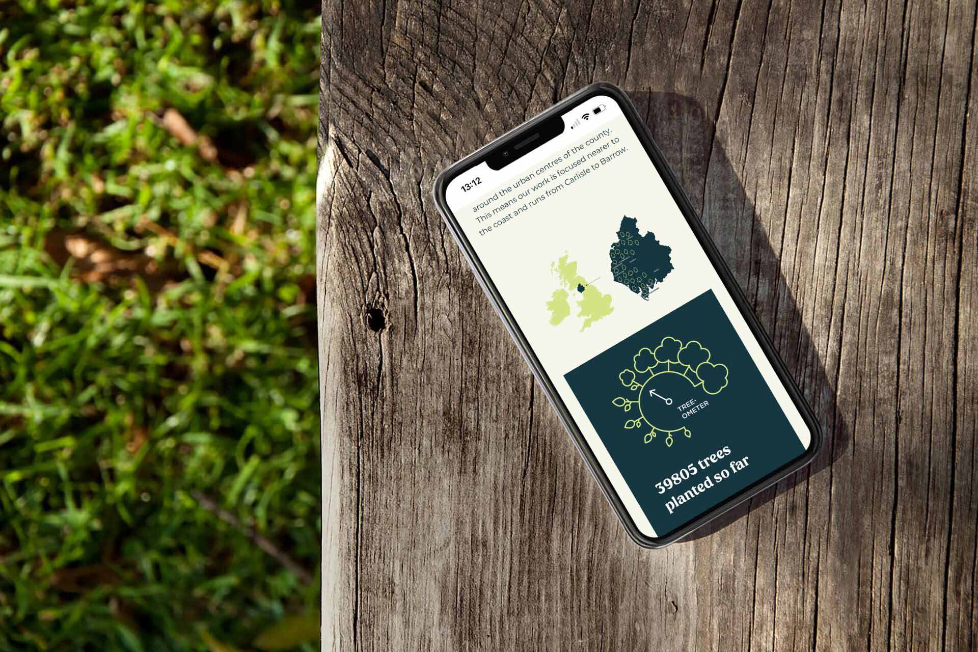 Cumbria Website Designers